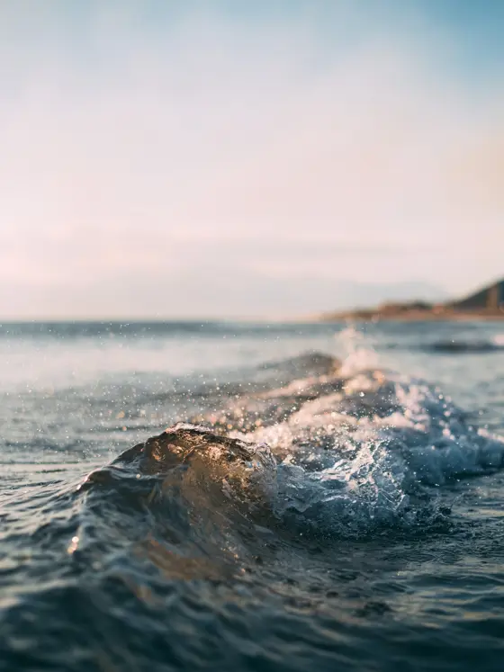 Wave
