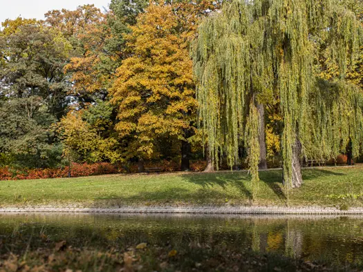 PURO CityGuide Łódź Park Źródliska