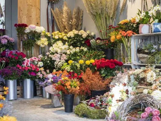 PURO CityGuide Łódź Studio Floral Elżbieta Dziomdziora
