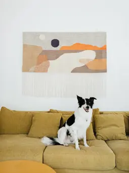 Kilim The Sun Fot. Karolina Grabowska Kaboompics